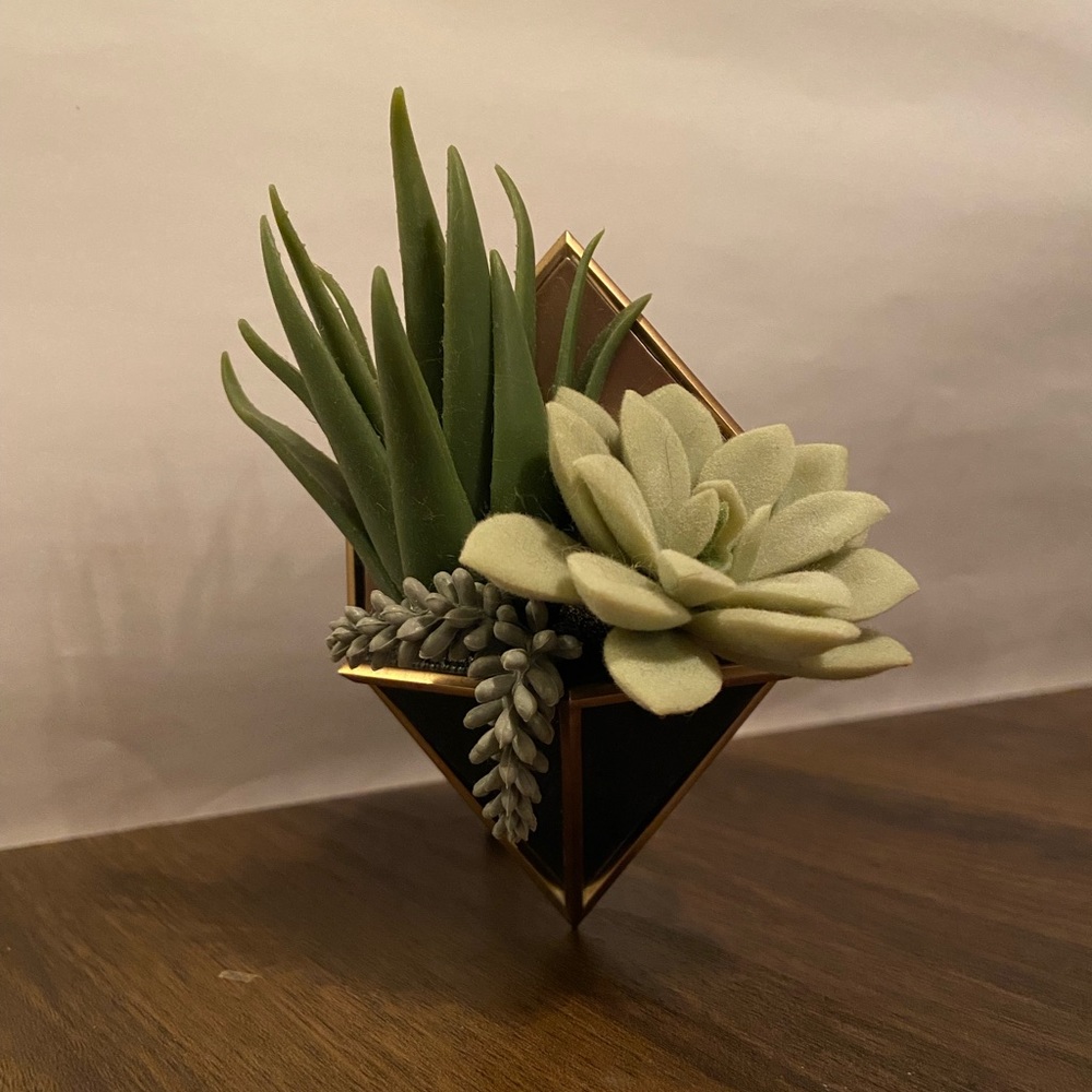 Bath and Body Works Wallflower Plug-in Succulents